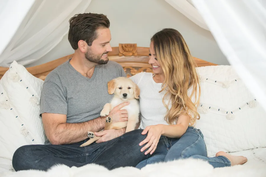 Newborn puppy photo session: minneapolis dog photographer, photo 2 of 16