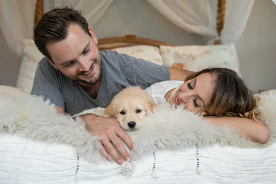 Newborn puppy photo session: minneapolis dog photographer, photo 5 of 16