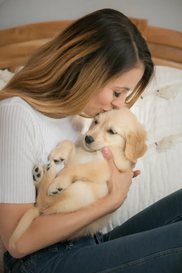 Newborn puppy photo session: minneapolis dog photographer, photo 4 of 16