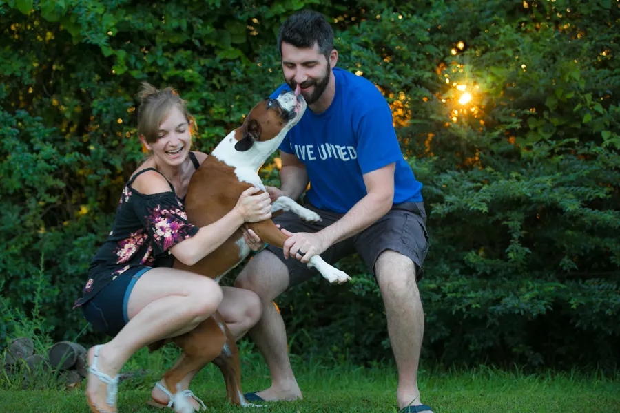 Mini backyard session with Dempsey the Boxer, photo 6 of 10