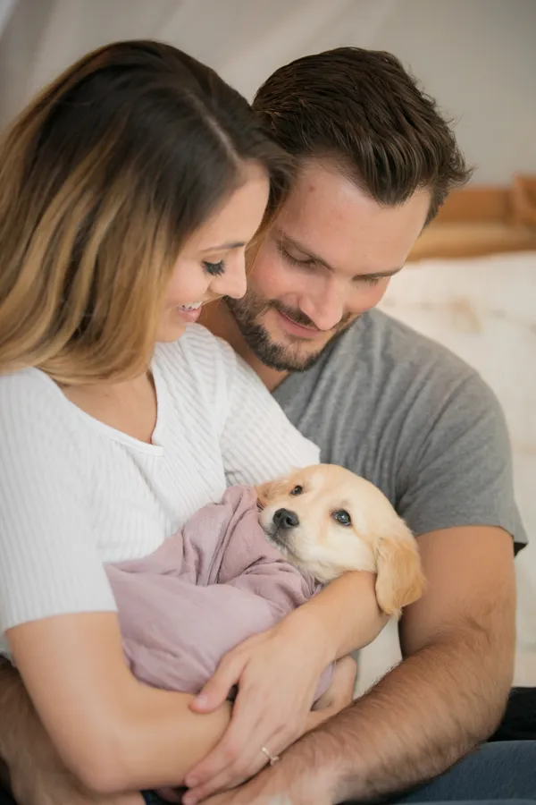 Newborn puppy photo session: minneapolis dog photographer, photo 9 of 16