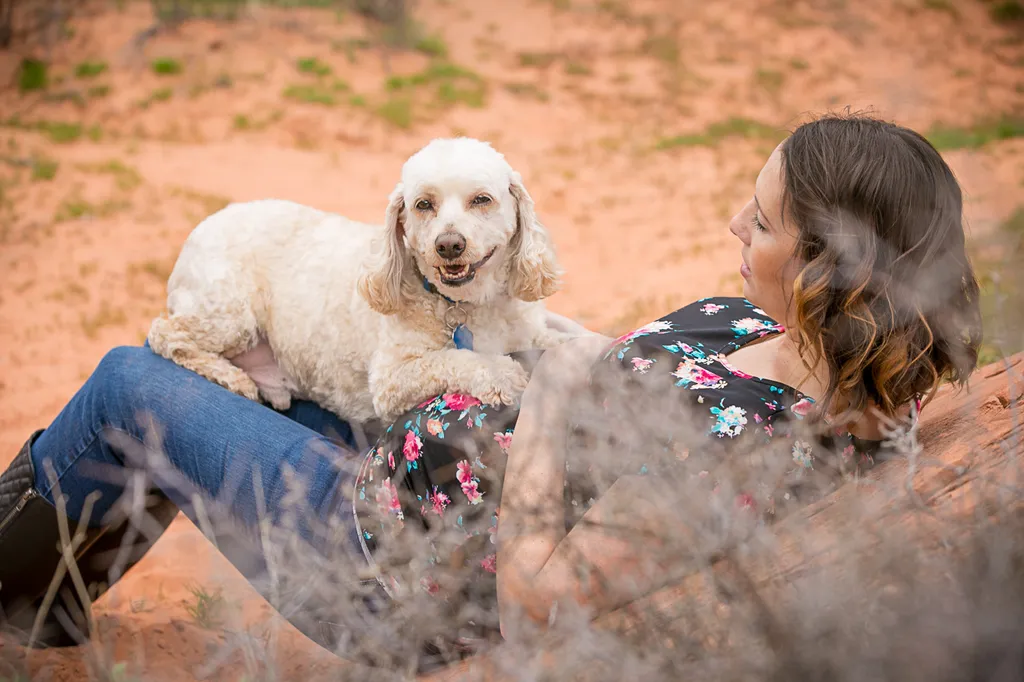 maternity dog photography, dog on his moms belly