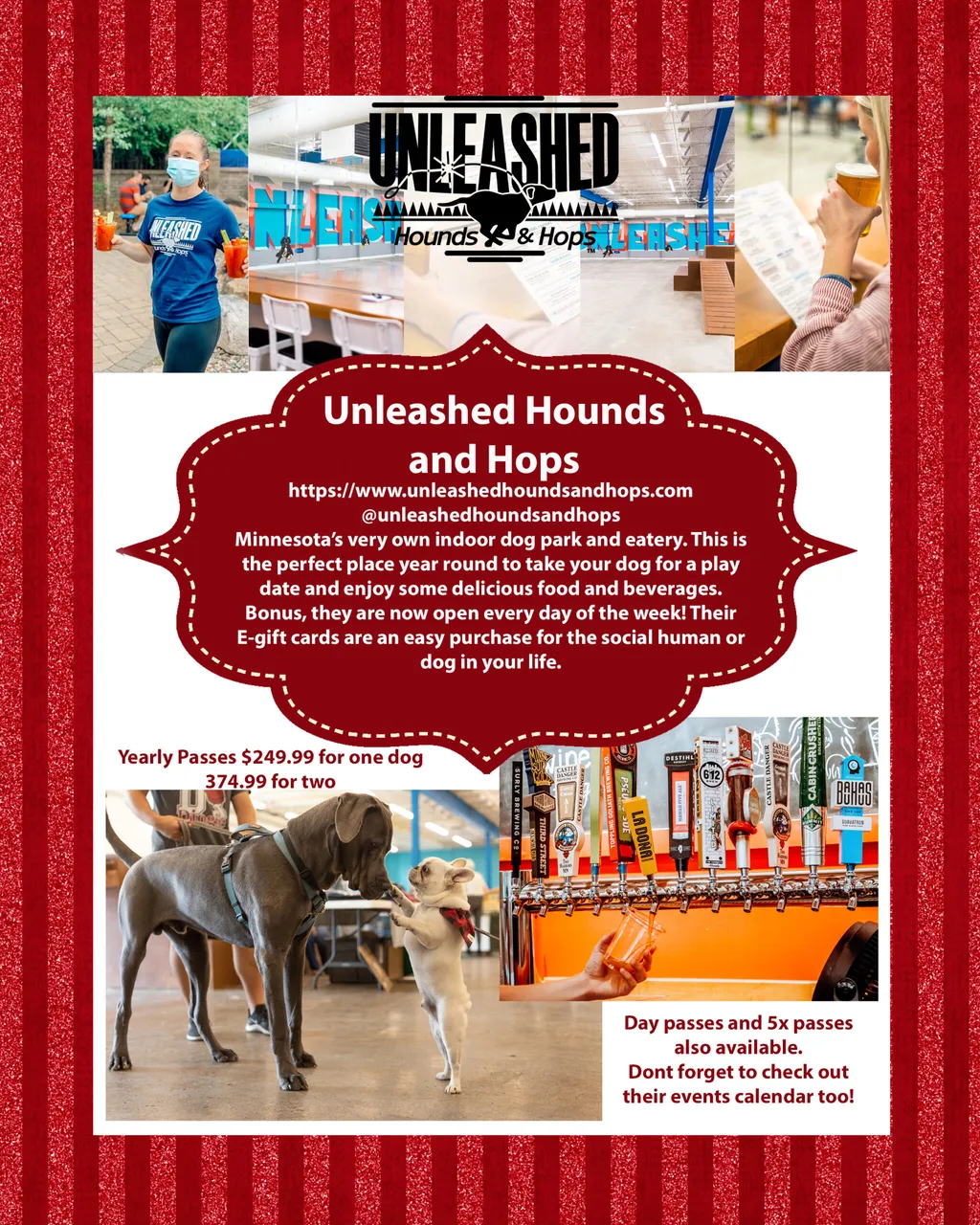 Holiday Gift guide for the Minnesota dog mom, photo 22 of 24