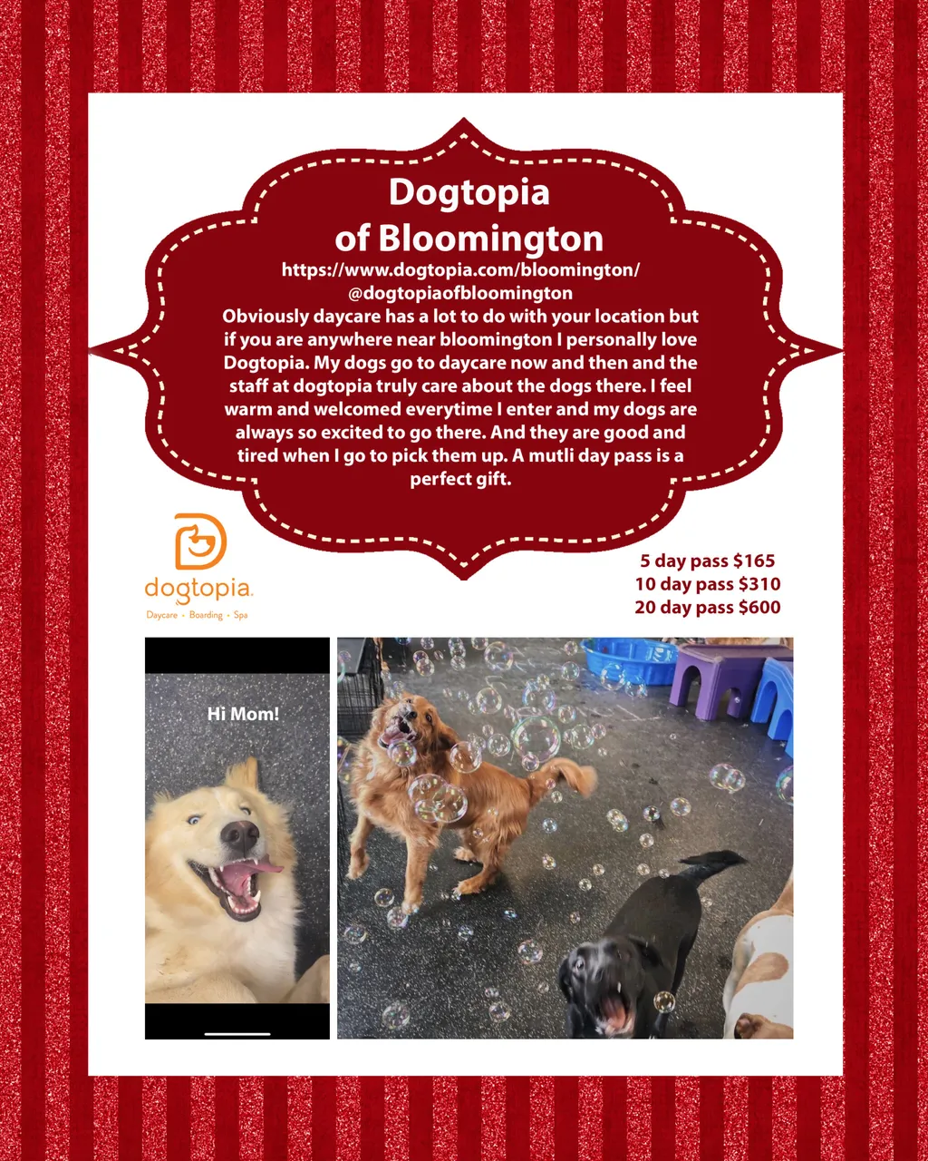 Holiday Gift guide for the Minnesota dog mom, photo 20 of 24