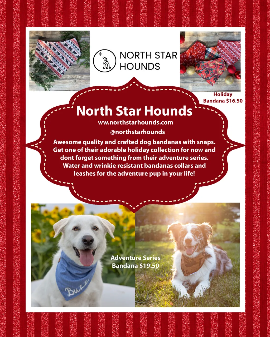 Holiday Gift guide for the Minnesota dog mom, photo 13 of 24