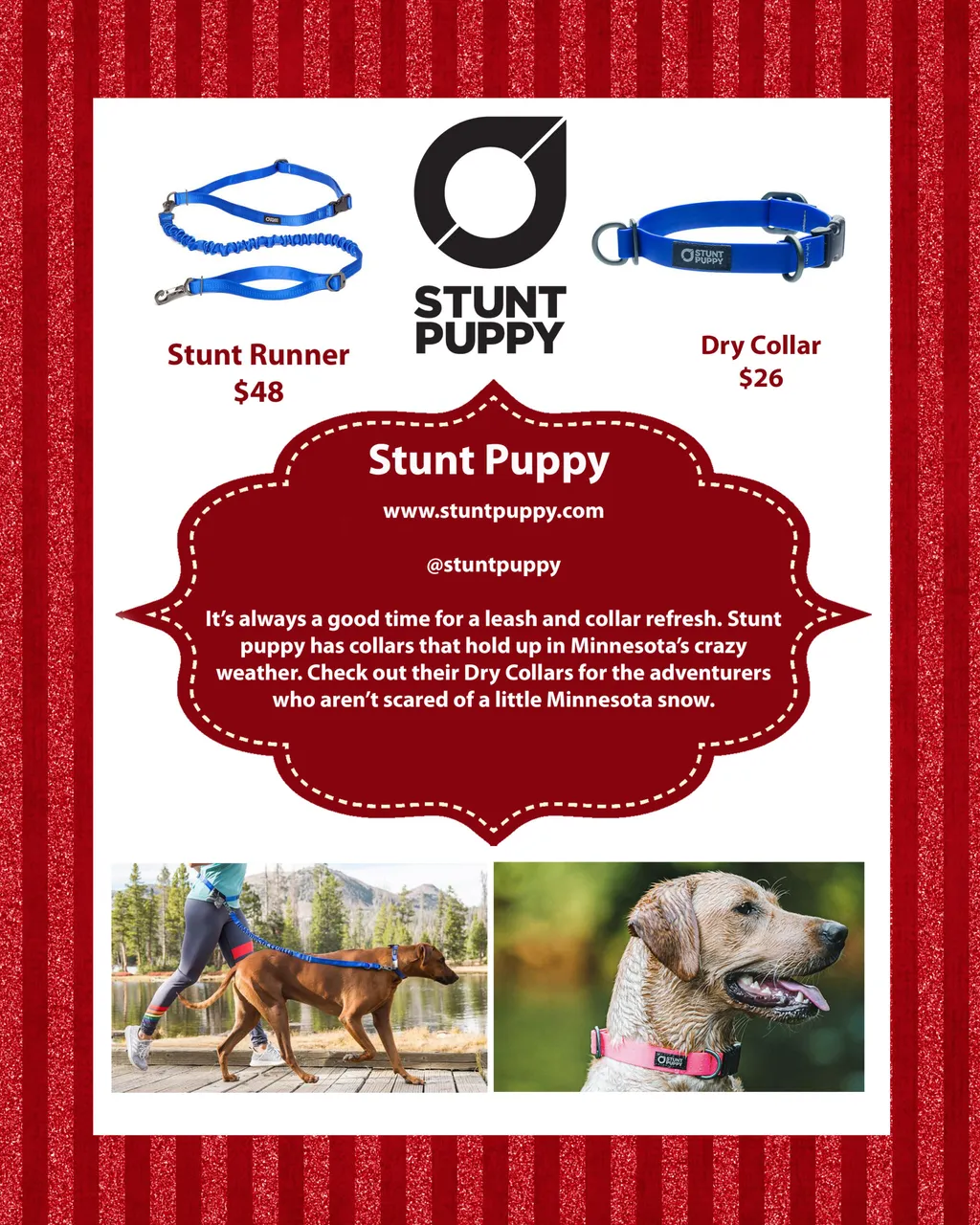 Holiday Gift guide for the Minnesota dog mom, photo 6 of 24
