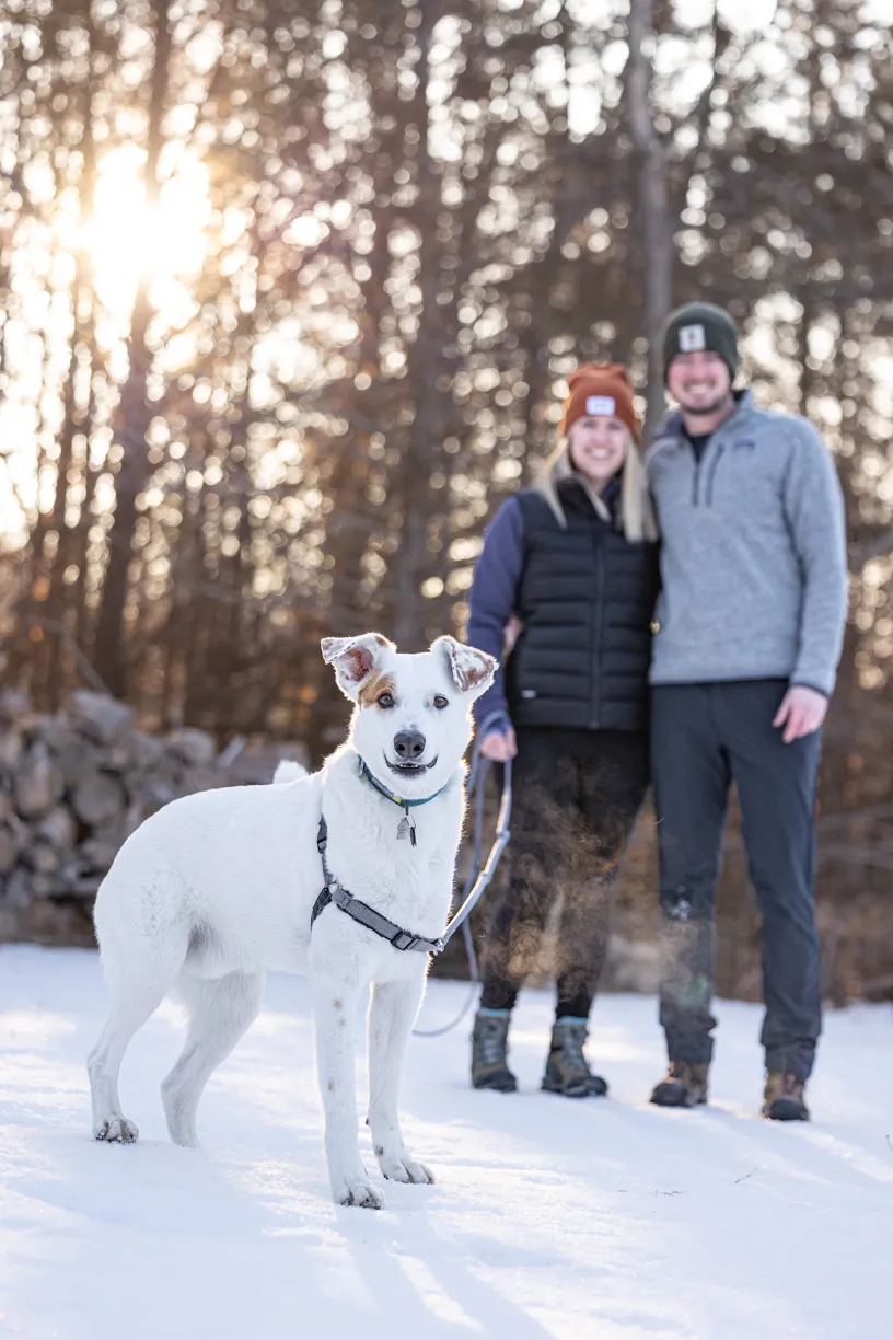 Pets and their people photo 21 of 63 by K Schulz Photography