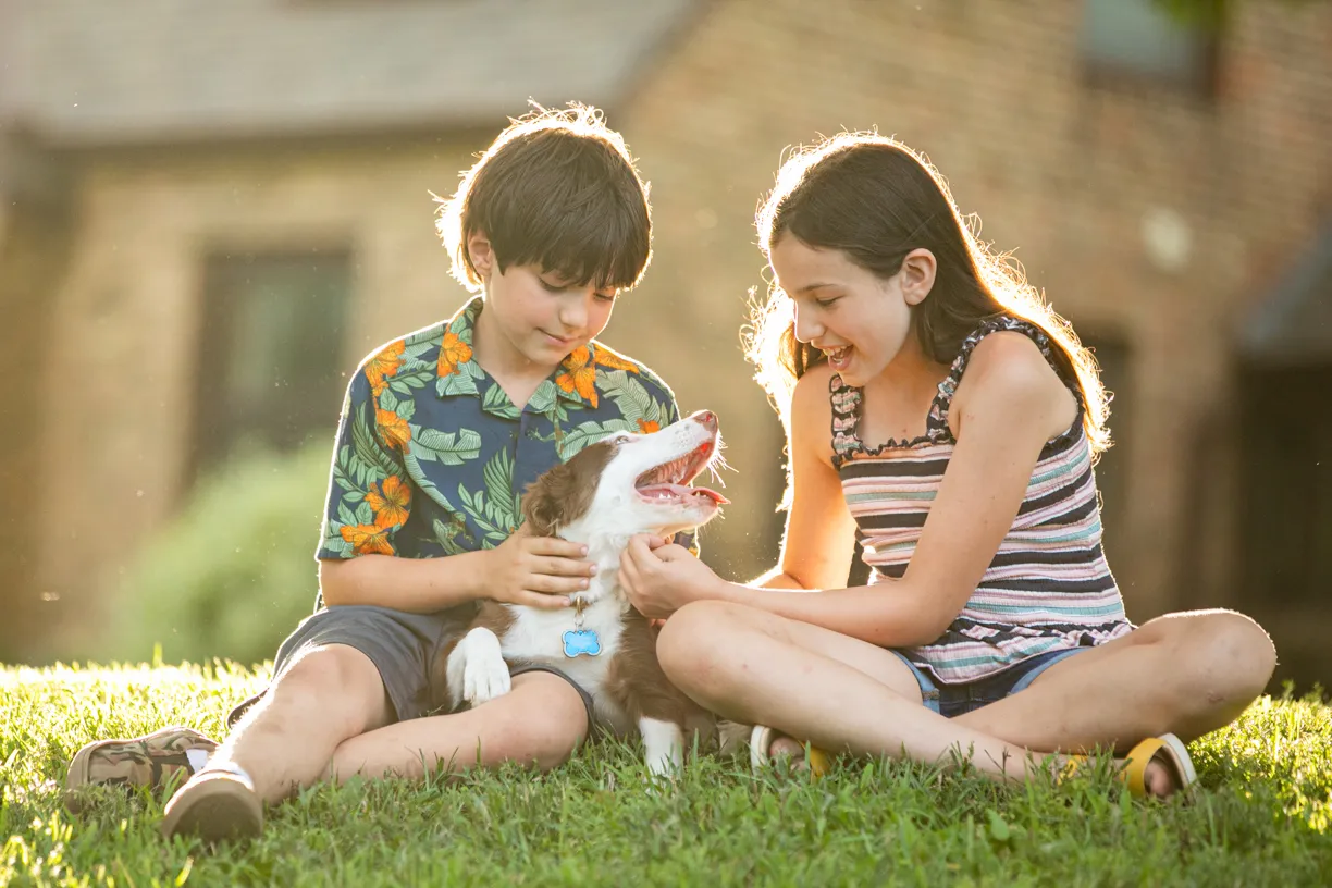 Pets and their people photo 14 of 63 by K Schulz Photography