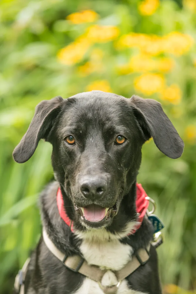 2018 for K Schulz Photography: Minneapolis photographer, photo 11 of 34