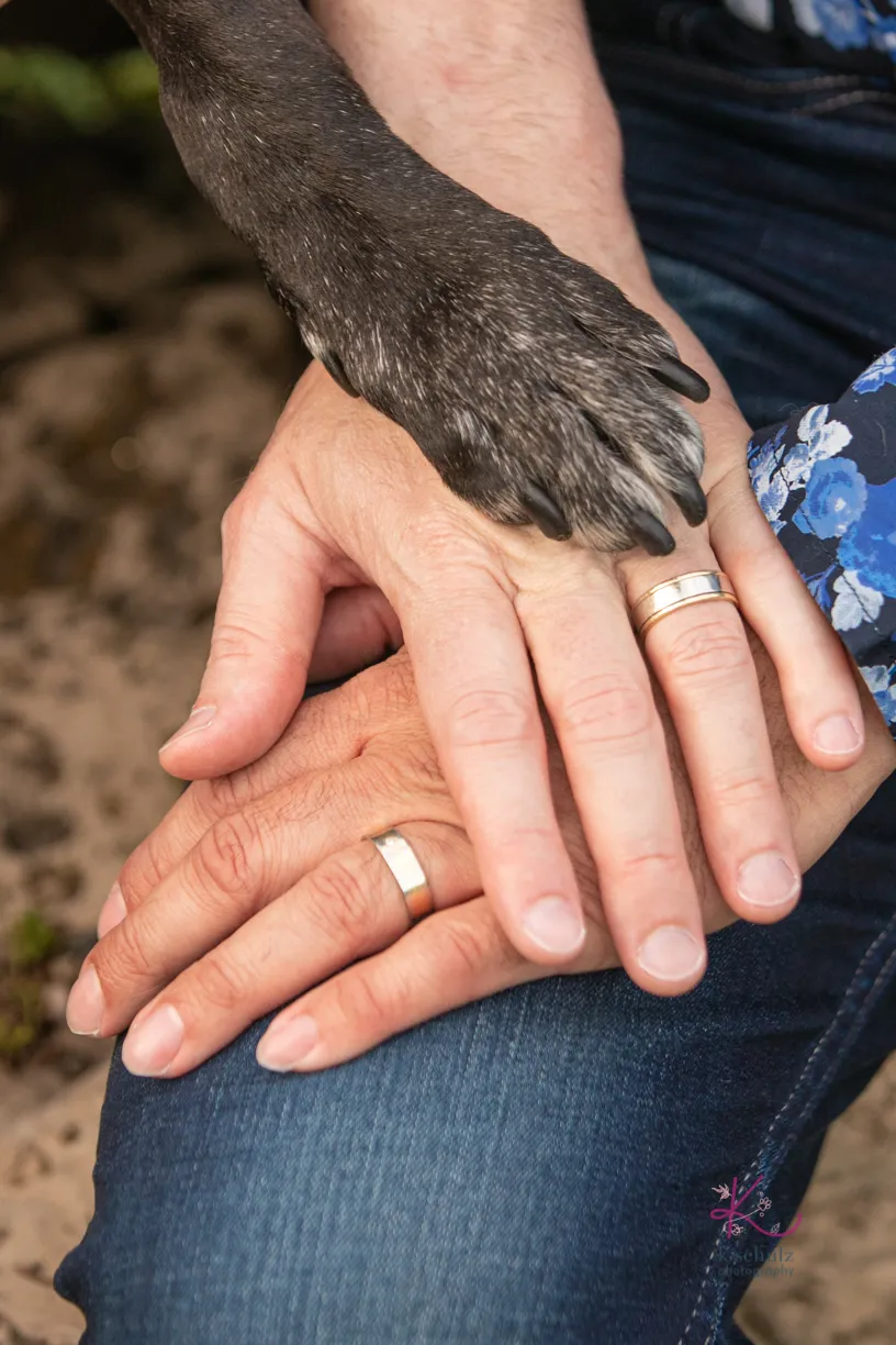dog paw and hands