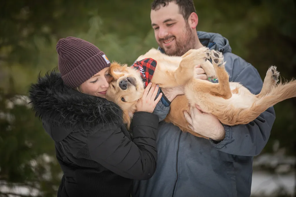 Golden Retriever puppy: como park, photo 2 of 12