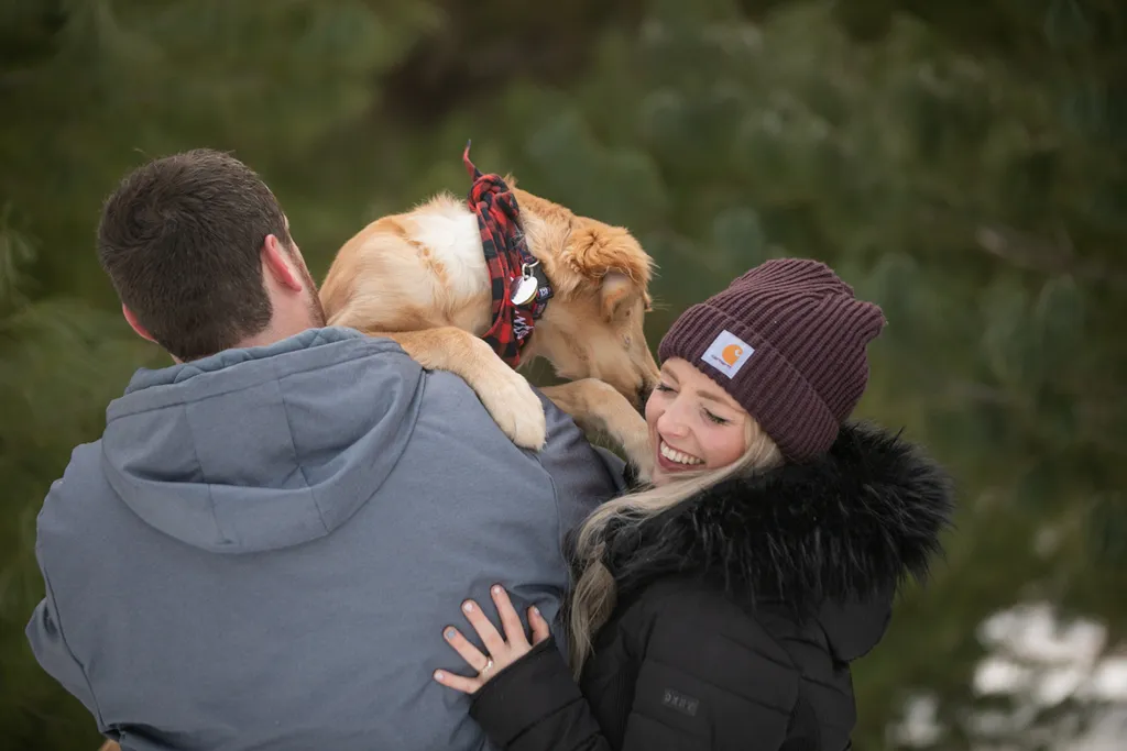 Golden Retriever puppy: como park, photo 4 of 12