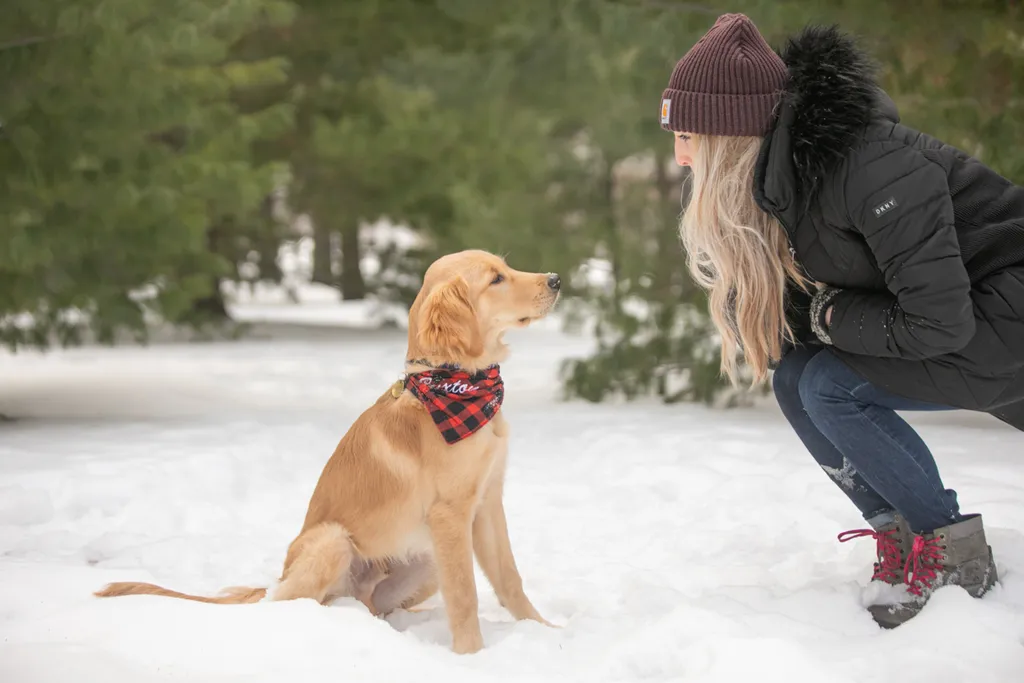 Golden Retriever puppy: como park, photo 7 of 12