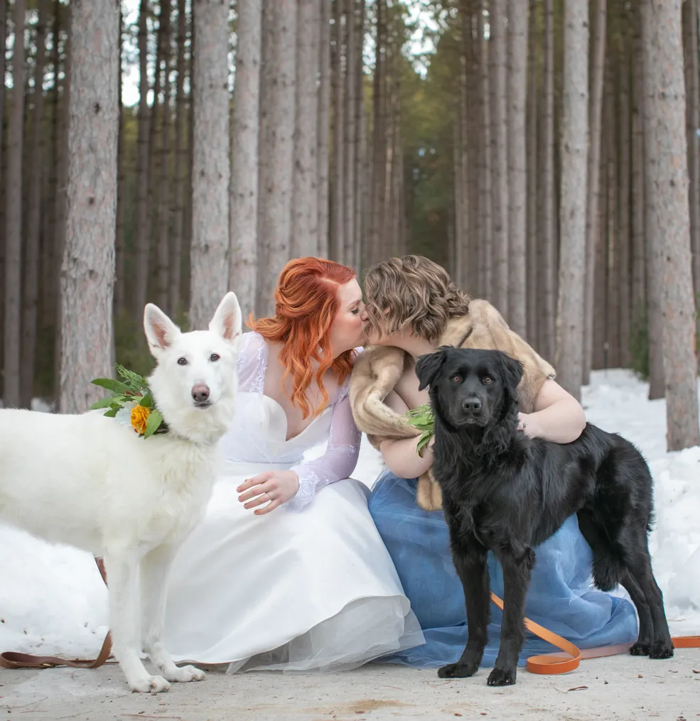 Pets and their people photo 23 of 63 by K Schulz Photography