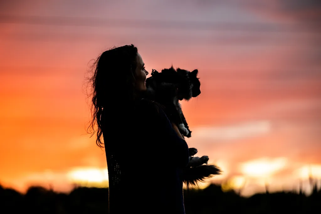 Adventure Cat: Outdoor cat photography, photo 15 of 15