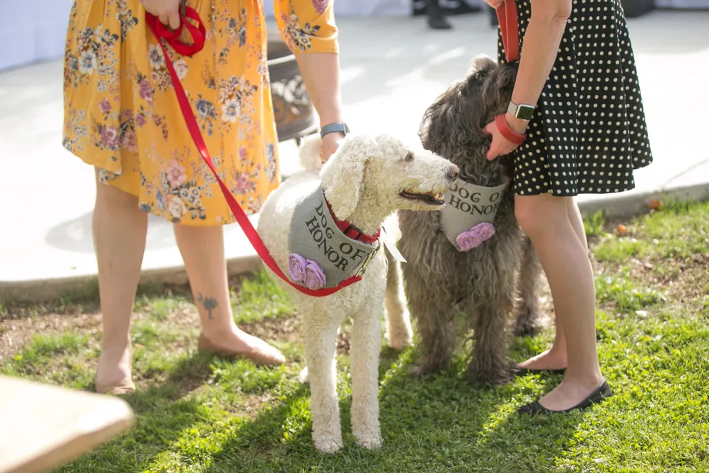 Backyard wedding involving your dogs, photo 11 of 38