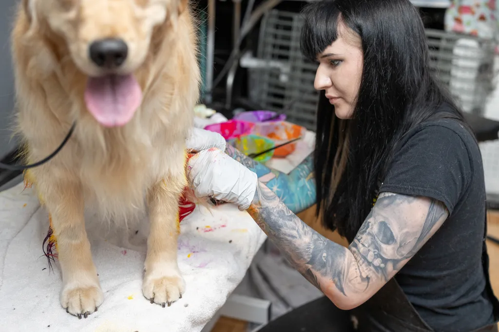 personal branding photography of a dog groomer