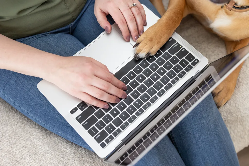 dog paw on laptop