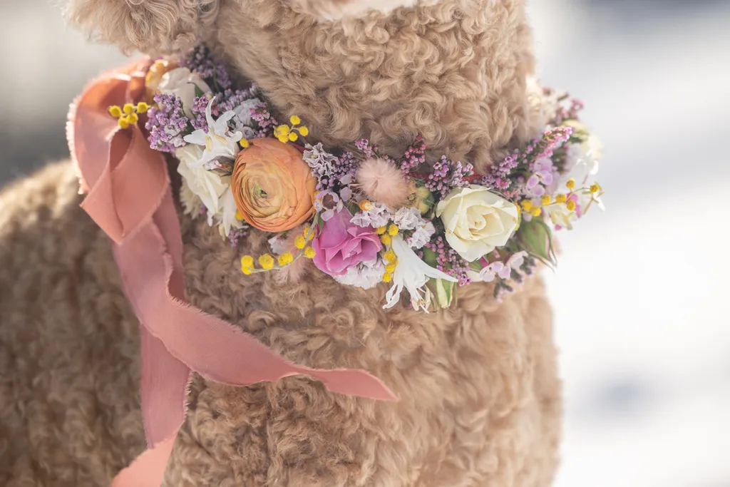 floral collar