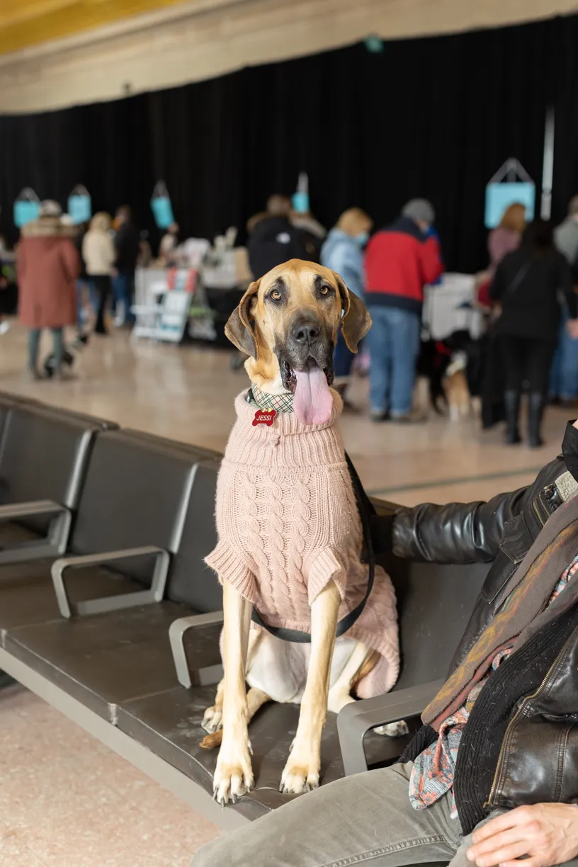 Doggie Depot at Union Station 2022, photo 5 of 15