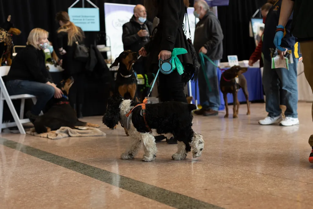 Doggie Depot at Union Station 2022, photo 8 of 15