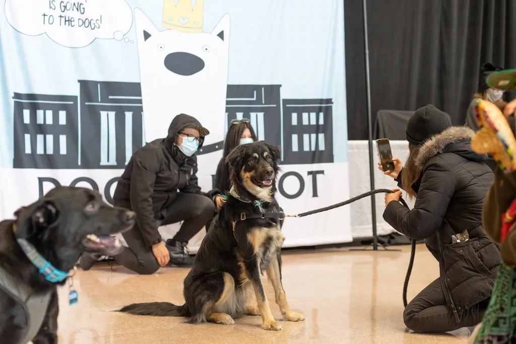 Doggie Depot at Union Station 2022, photo 1 of 15