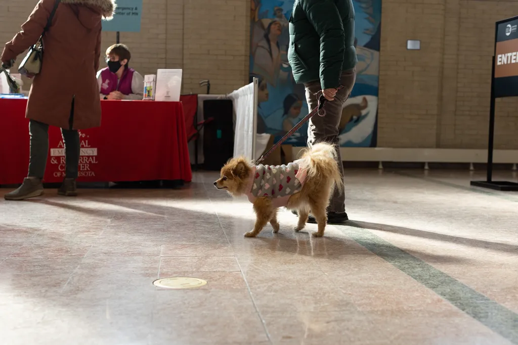 Doggie Depot at Union Station 2022, photo 9 of 15