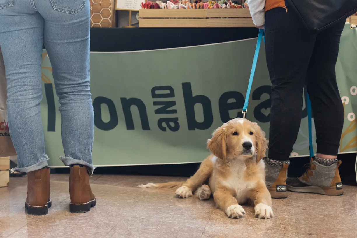 Cover photo for Doggie Depot at Union Station 2022