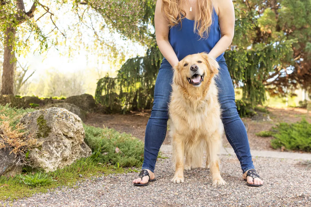 11 Spring Activities with your dog, photo 1 of 2