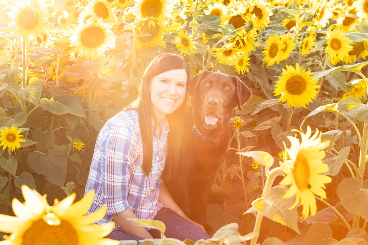 Woman and her black dog in a field of sunflowers at sunset
