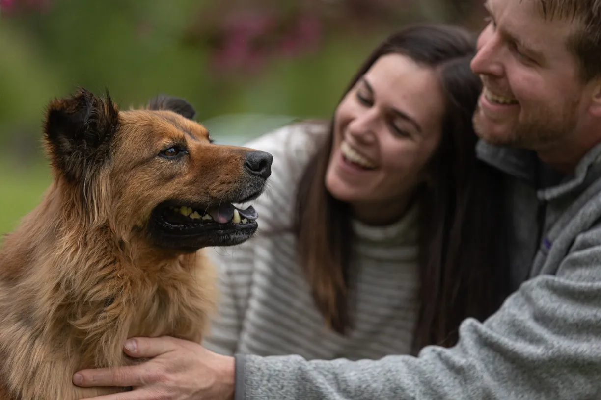 Pets and their people photo 39 of 63 by K Schulz Photography