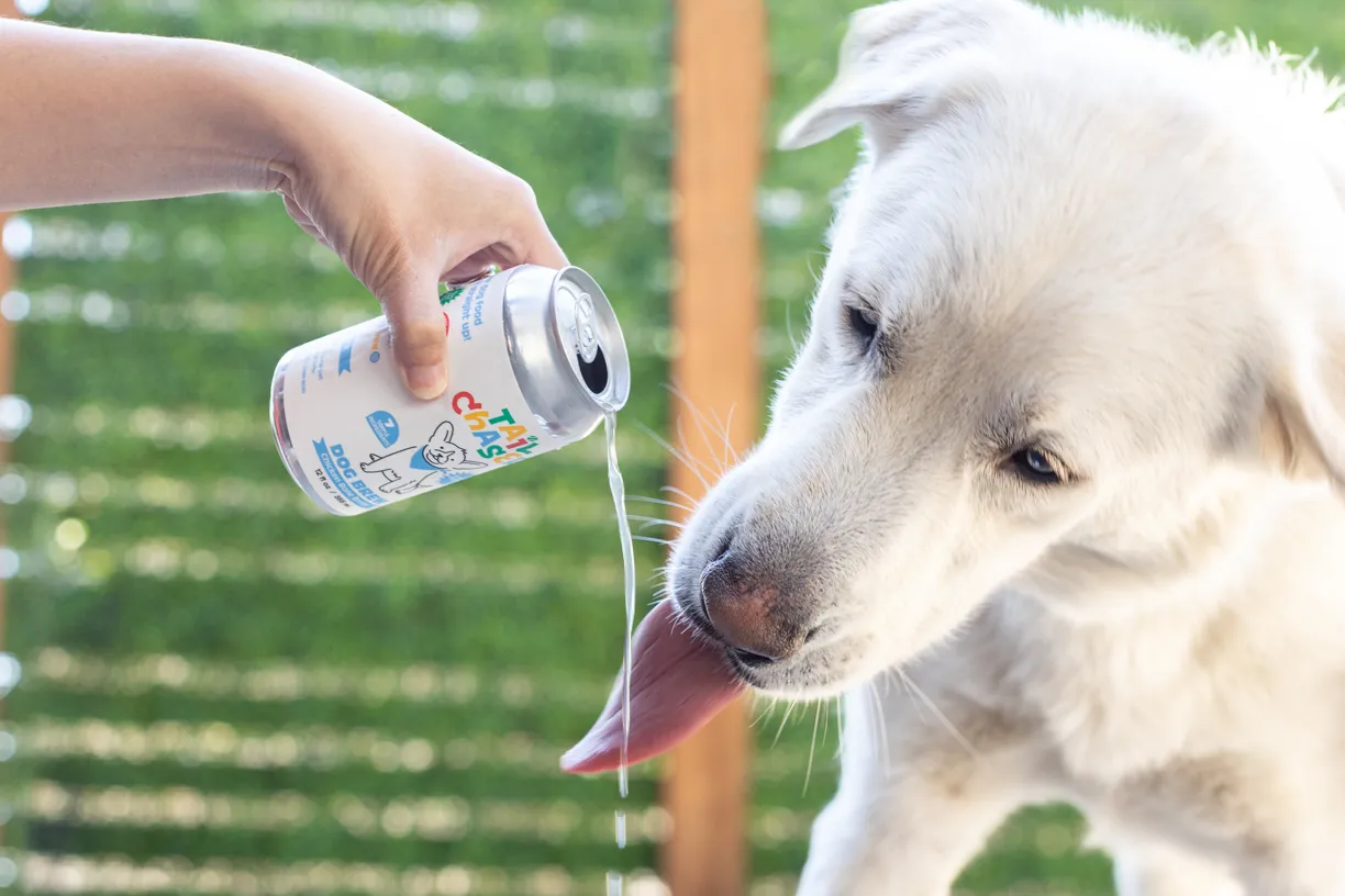 White dog lapping a drink poured from a can for a pet beverage brand
