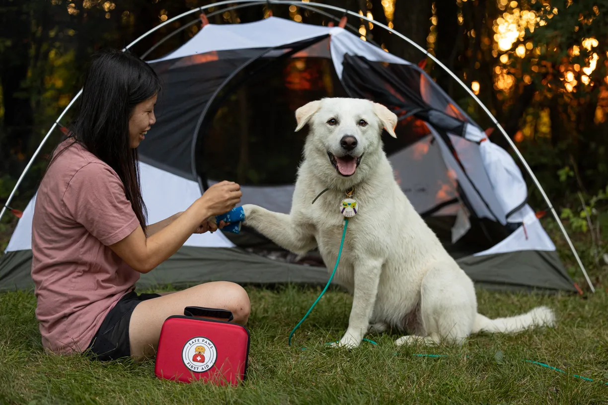 Woman opening a pet first aid kit beside a white dog at a campsite tent