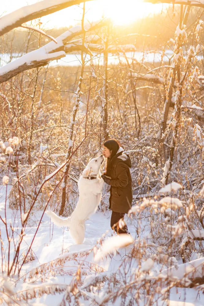 Pets and their people photo 54 of 63 by K Schulz Photography