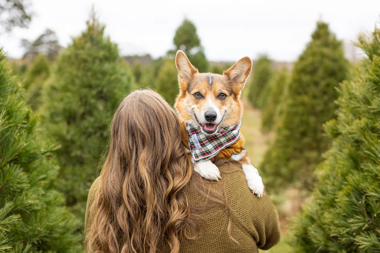 Pets and their people photo 55 of 63 by K Schulz Photography
