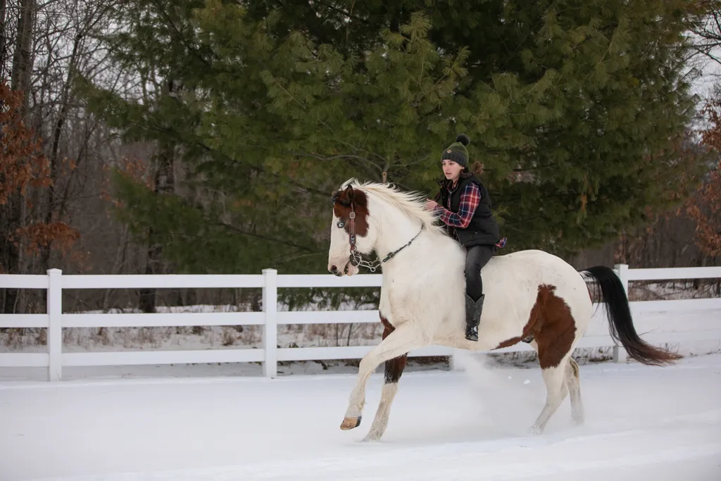 Just a girl and her horse: Equestrian Photography, photo 10 of 22