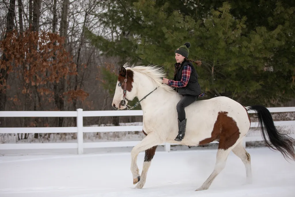Just a girl and her horse: Equestrian Photography, photo 11 of 22