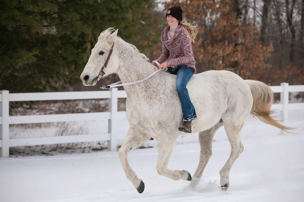 Just a girl and her horse: Equestrian Photography, photo 12 of 22
