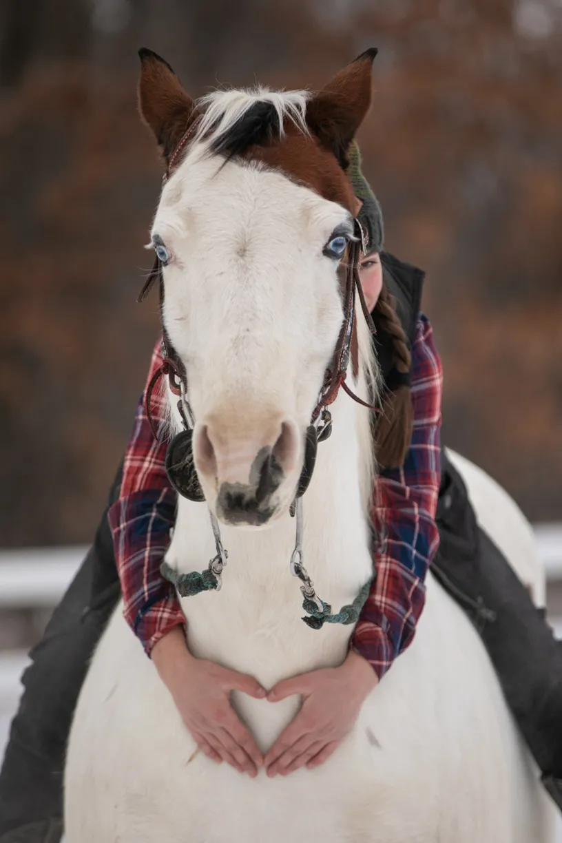 Just a girl and her horse: Equestrian Photography, photo 14 of 22