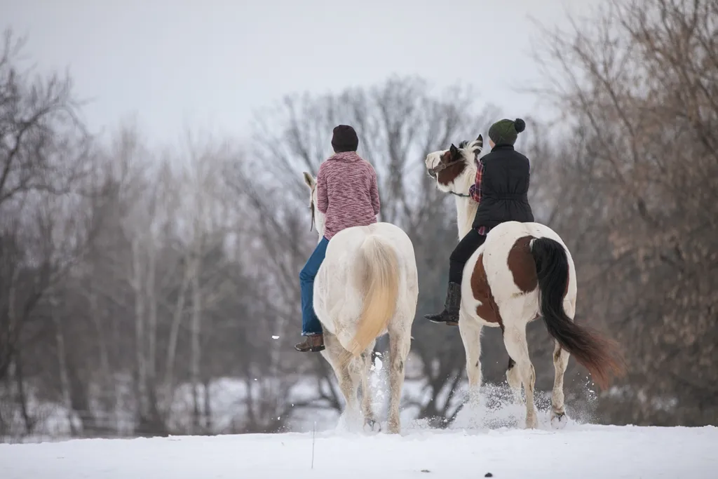 Just a girl and her horse: Equestrian Photography, photo 16 of 22