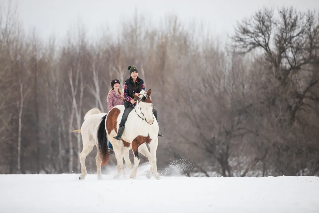Just a girl and her horse: Equestrian Photography, photo 17 of 22