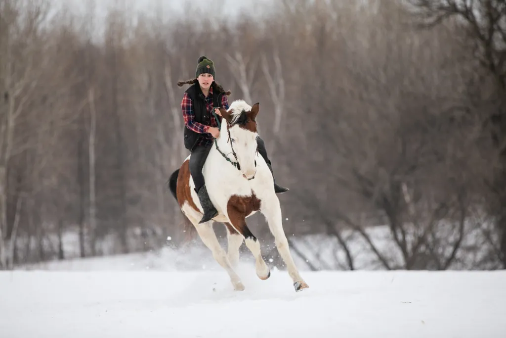 girl riding her horse in the snow