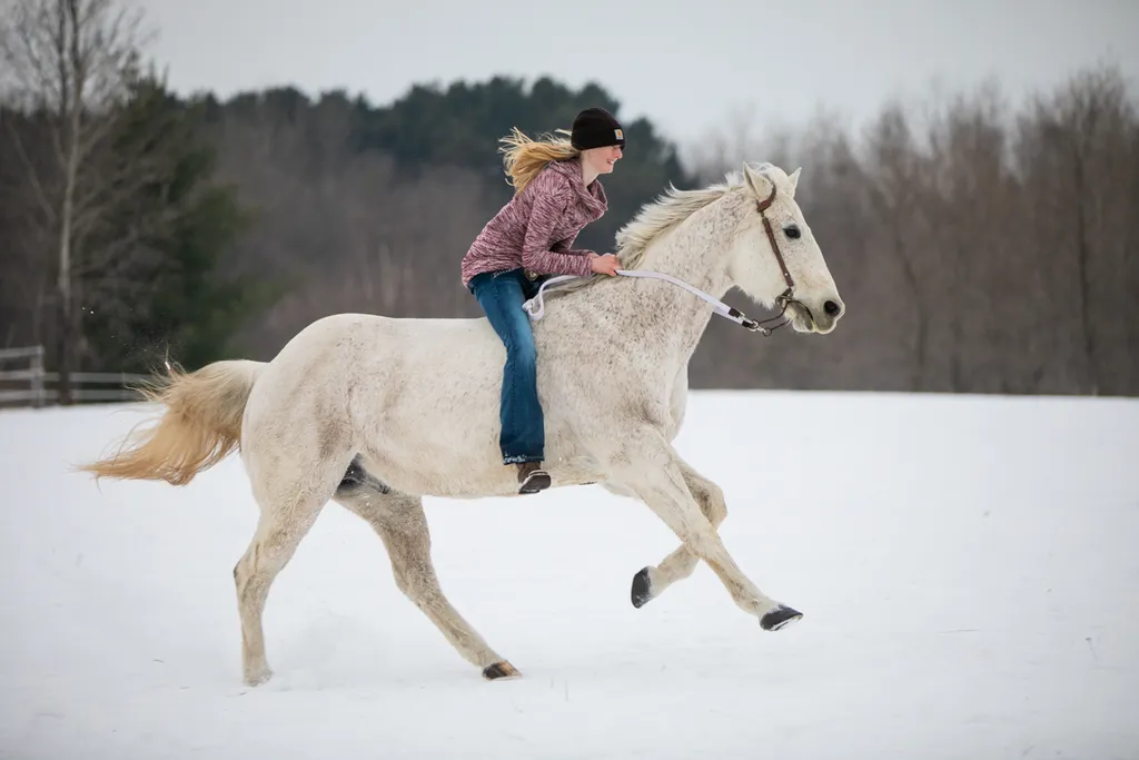 galloping in the snow