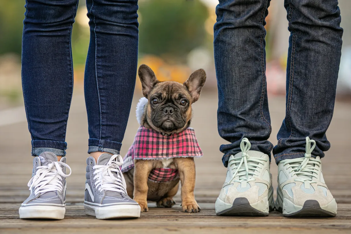 Pets and their people photo 10 of 63 by K Schulz Photography