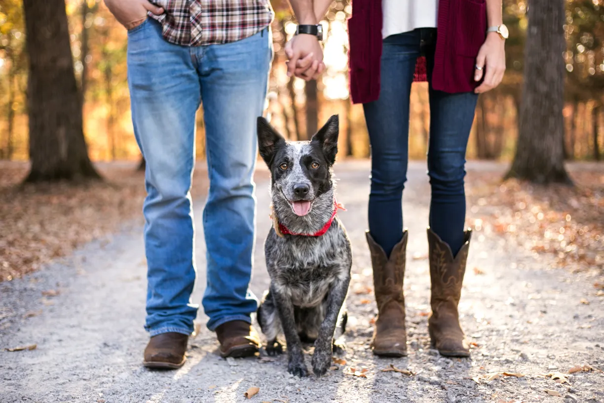 Pets and their people photo 63 of 63 by K Schulz Photography
