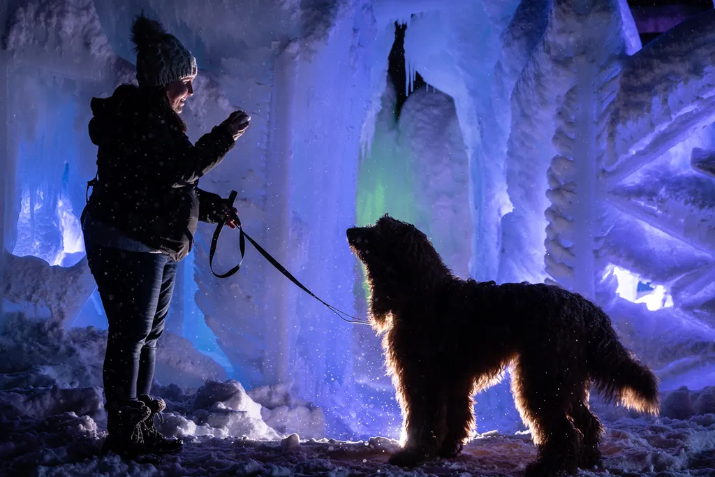silhouette of dog and dog mom at dog friendly ice palace
