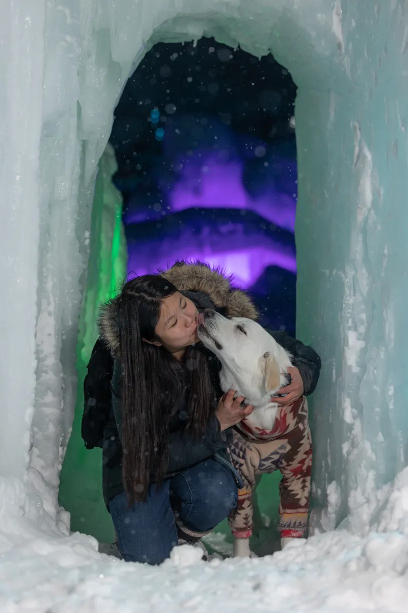 dog mom kissing white dog