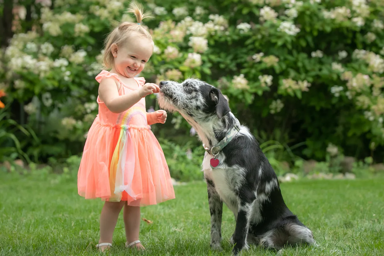 Photo from the Sweckers family session