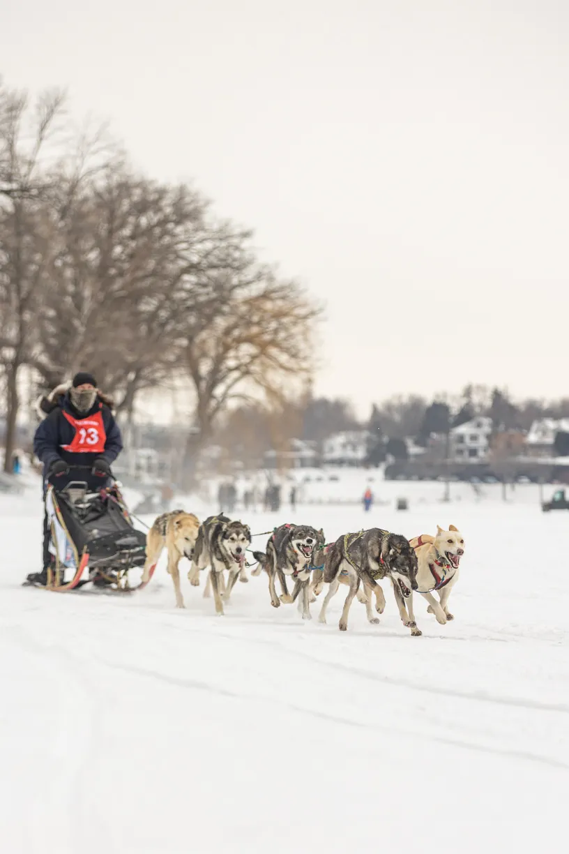 Klondike Dog Derby 2022 Lake Minnetonka, photo 12 of 29