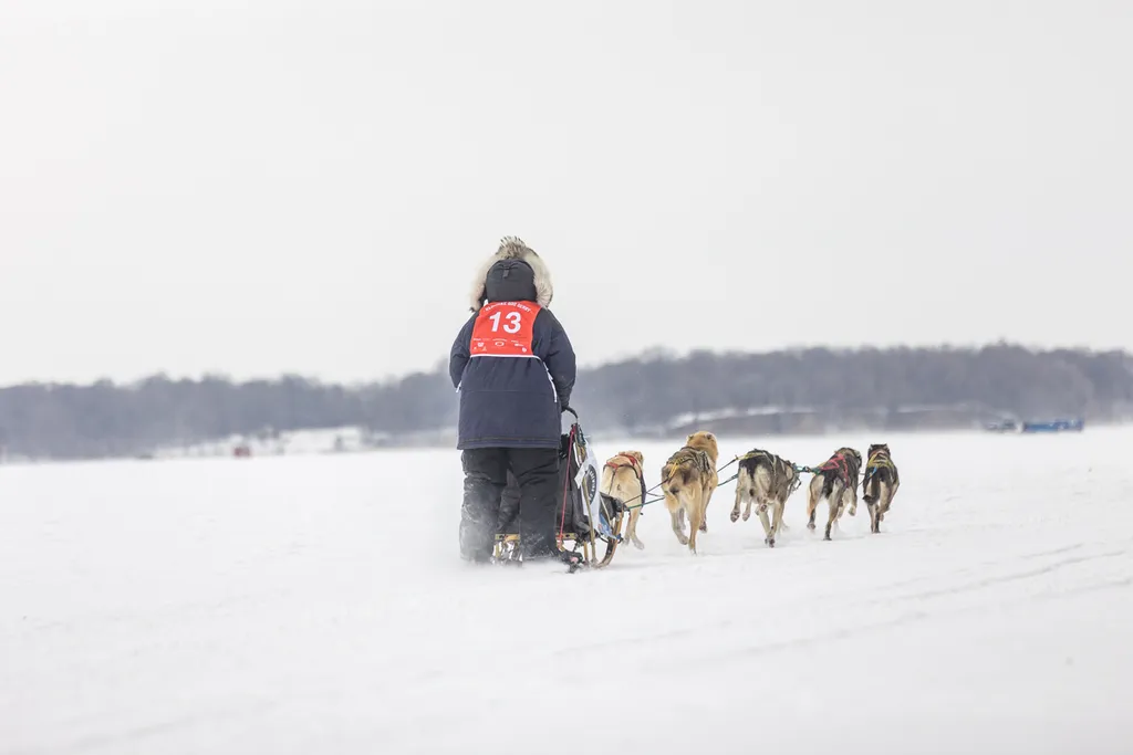 Klondike Dog Derby 2022 Lake Minnetonka, photo 14 of 29